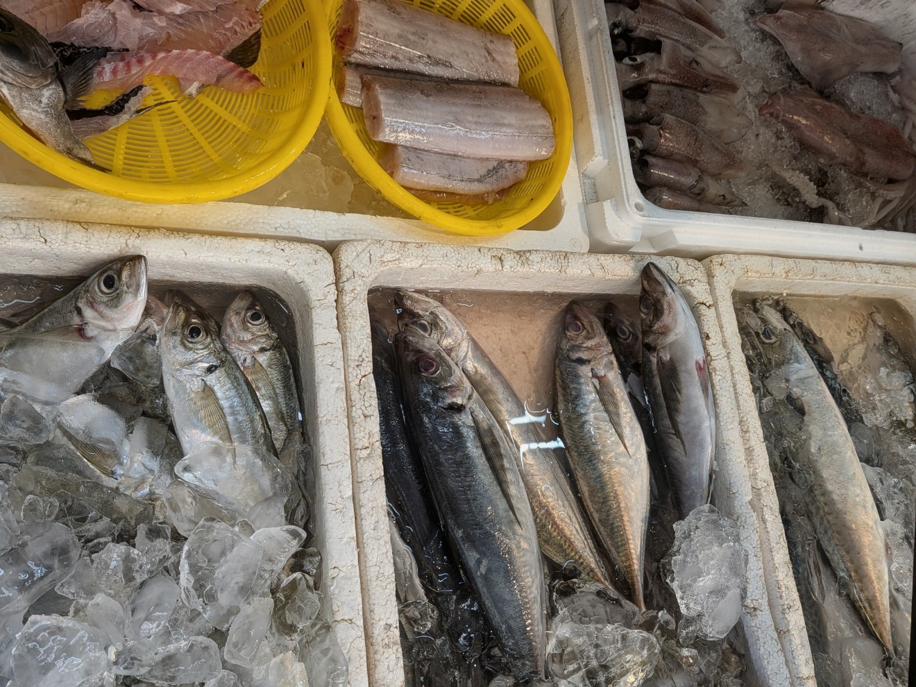 東唐津 大島鮮魚店